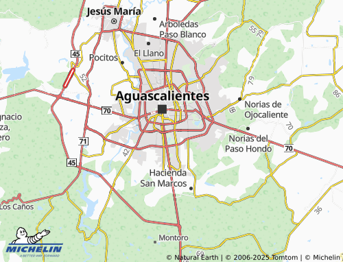 Mappa MICHELIN Jardines de las Bugambilias - ViaMichelin