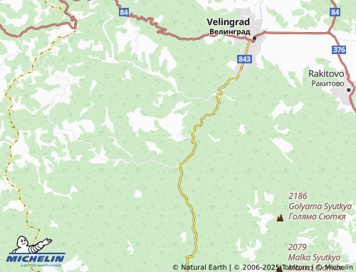 MICHELIN Grashevo map - ViaMichelin