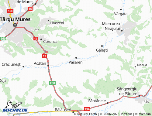 Carte MICHELIN Păsăreni - ViaMichelin