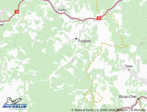 Mapa MICHELIN Recea - ViaMichelin