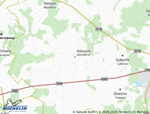 MICHELIN Shilovichi map - ViaMichelin