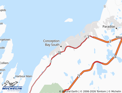 Mapa MICHELIN Conception Bay South - ViaMichelin