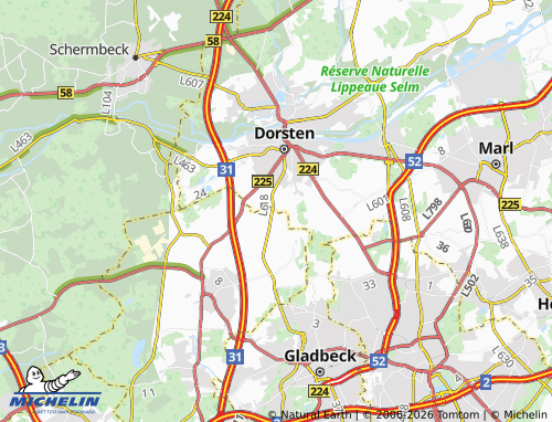 MICHELIN Brink map - ViaMichelin