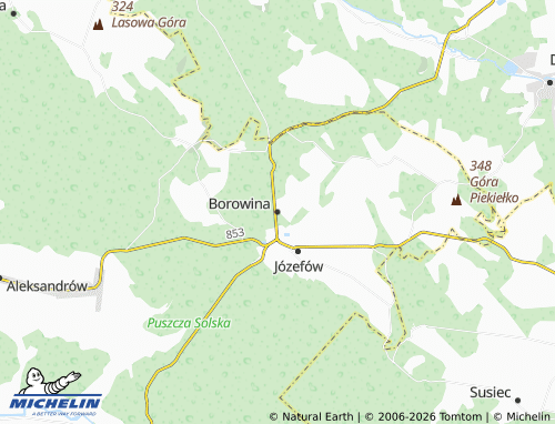 Mapa MICHELIN Borowina - ViaMichelin