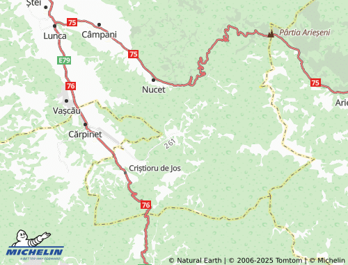 MICHELIN-Landkarte Poiana - ViaMichelin