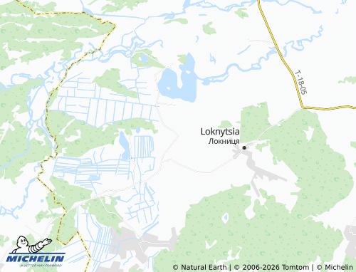 Mappa MICHELIN Liubyn' - ViaMichelin