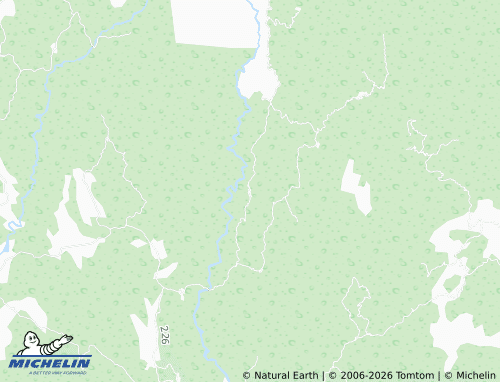 MICHELIN Los Tepehuajes map - ViaMichelin