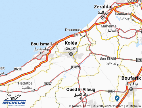 Carte MICHELIN Koléa - ViaMichelin