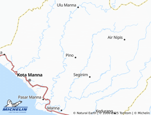MICHELIN Pino map - ViaMichelin