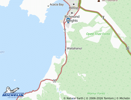 Mapa MICHELIN Waitahanui - ViaMichelin