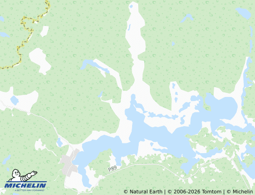 Carte MICHELIN Zaluch'ye - ViaMichelin