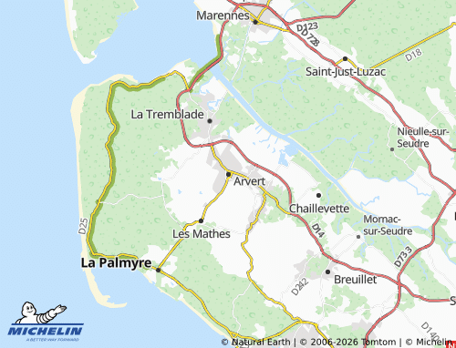 Mappa MICHELIN Arvert - ViaMichelin