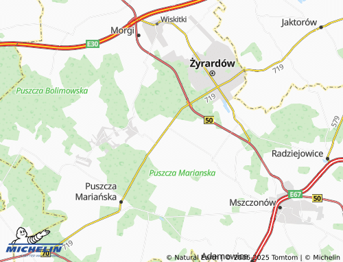 MICHELIN Bednary map - ViaMichelin