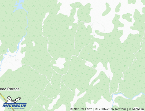 Mapa MICHELIN El Amapal - ViaMichelin