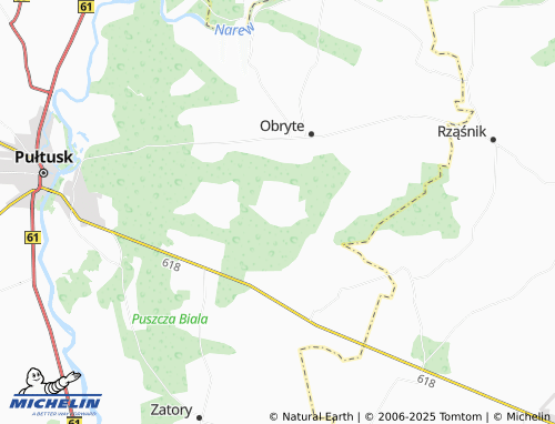 MICHELIN Wielgolas map - ViaMichelin