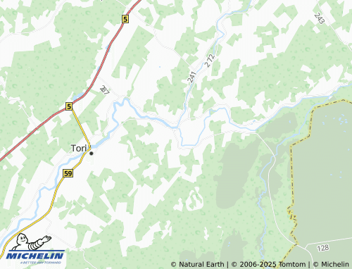 MICHELIN Jõesuu map - ViaMichelin