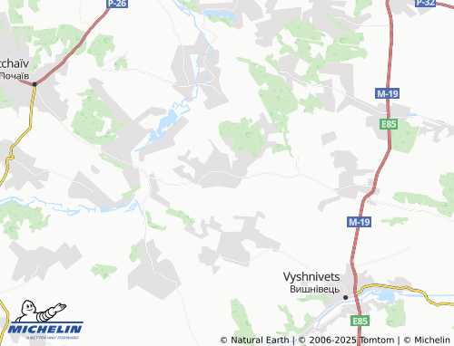 MICHELIN Zalistsi map - ViaMichelin