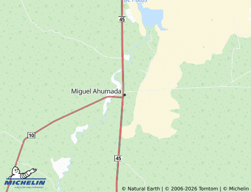 Mappa MICHELIN Ahumada Centro - ViaMichelin