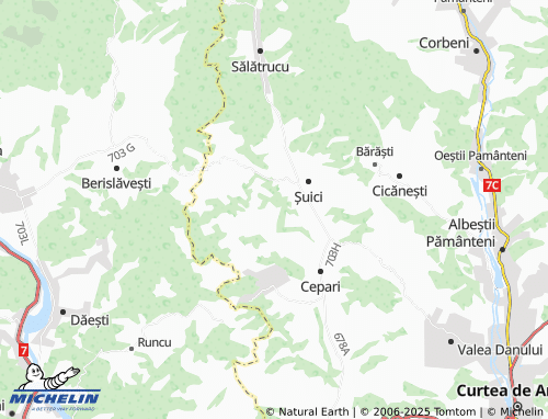 MICHELIN Cărpeniș map - ViaMichelin