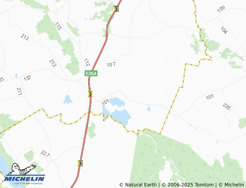 MICHELIN Pedassaare map - ViaMichelin