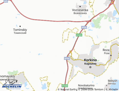 MICHELIN-Landkarte Dubrovskiy SNT - ViaMichelin