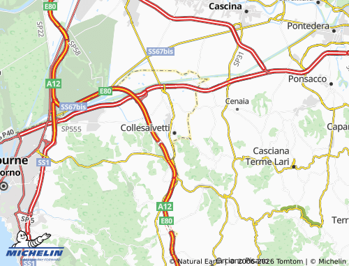 MICHELIN Collesalvetti map - ViaMichelin