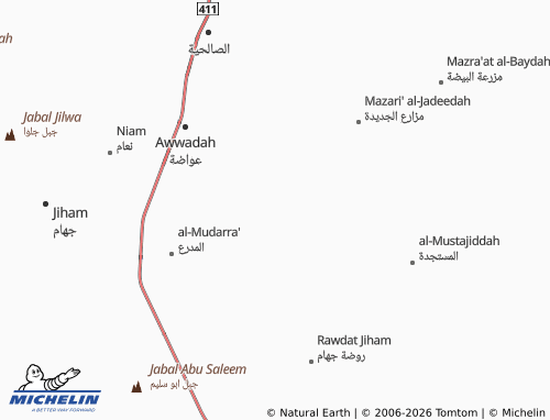 Carte MICHELIN al-Ainadeeh - ViaMichelin
