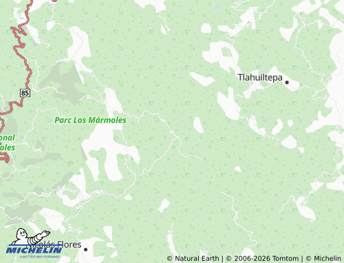 MICHELIN La Palma map - ViaMichelin