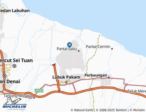 MICHELIN Beringin map - ViaMichelin