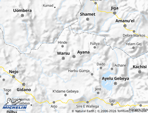 Mappa MICHELIN Horo Gudru - ViaMichelin