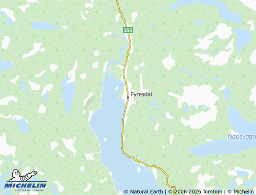 MICHELIN Fyresdal map - ViaMichelin