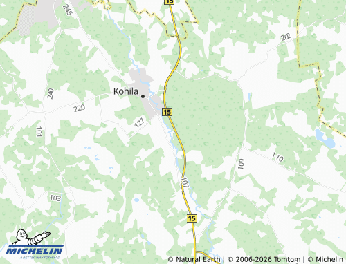 MICHELIN Loone map - ViaMichelin