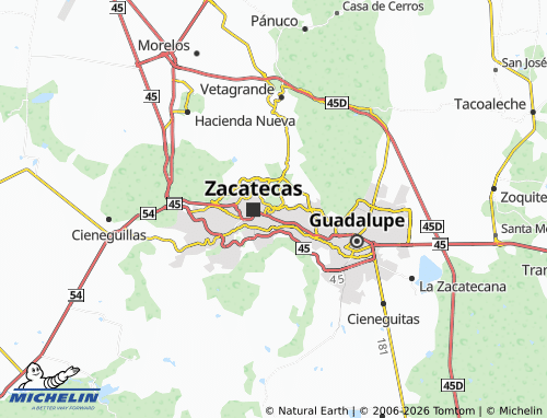 MICHELIN Siglo XXI map - ViaMichelin