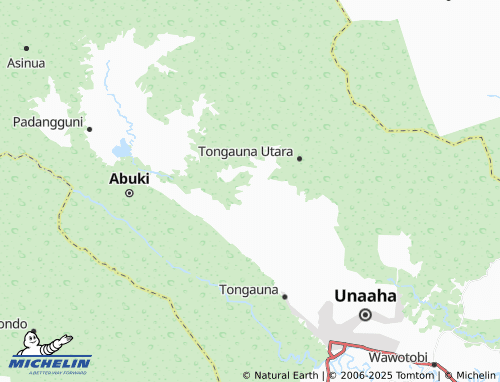 MICHELIN Ambopi map - ViaMichelin