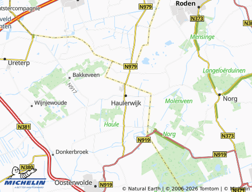 Carte MICHELIN Haulerwijk - ViaMichelin