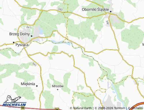 Mappa MICHELIN Prężyce - ViaMichelin