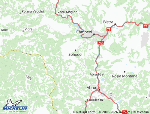 Mapa MICHELIN Surdești - ViaMichelin