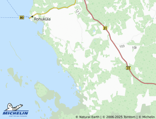 MICHELIN Suure-Ahli map - ViaMichelin