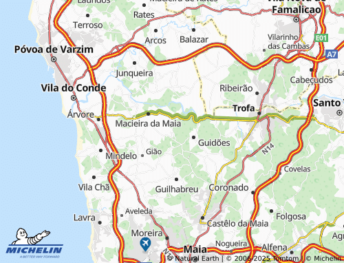 MICHELIN Fornelo map - ViaMichelin