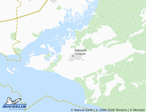 MICHELIN-Landkarte Salaushi - ViaMichelin