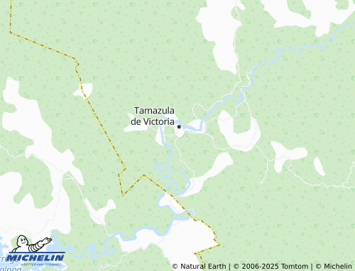 MICHELIN Villa de Guadalupe map - ViaMichelin