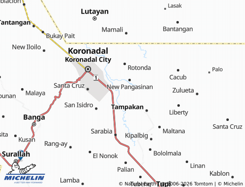 MICHELIN Concepcion map - ViaMichelin