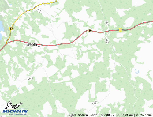 Mappa MICHELIN Turvalepa - ViaMichelin