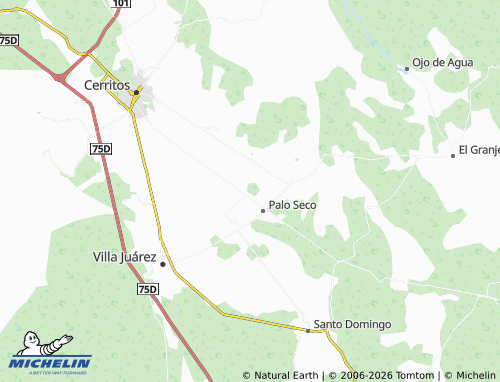 Mappa MICHELIN Nuevo Ejido de San Pedro de Los Hernández - ViaMichelin