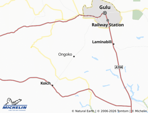 Mappa MICHELIN Ongoko - ViaMichelin