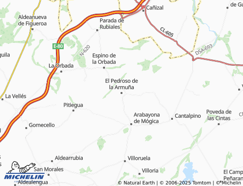 Mappa MICHELIN El Pedroso de la Armuña - ViaMichelin