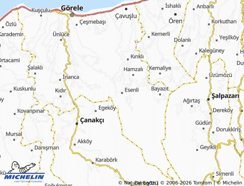 MICHELIN Esenli map - ViaMichelin