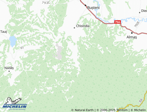MICHELIN Păiușeni map - ViaMichelin