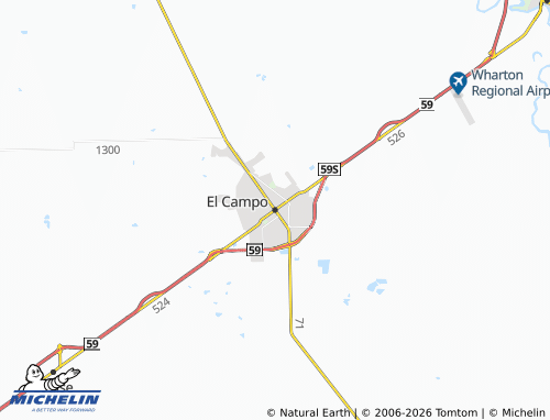 Mappa MICHELIN El Campo - ViaMichelin