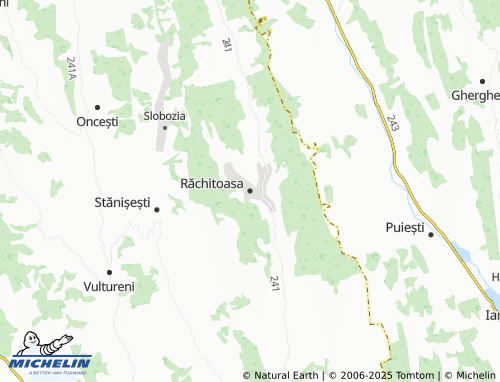 MICHELIN Răchitoasa map - ViaMichelin